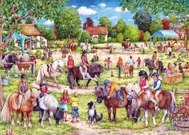 Shetland Pony Club, Debbie Cook