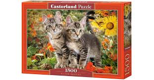 Kitten Buddies (1500pcs)
