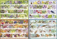 Woodland Seasons (4 x 500pcs)