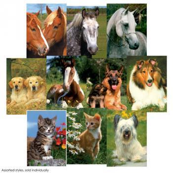 Animaux Mini Puzzle (chien hirsute)