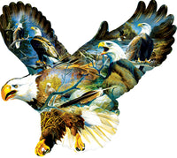 Eagle Majesté, Don Kloeztke (en forme)