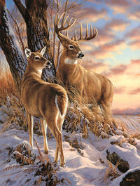 Escapade, Rosemary Millette