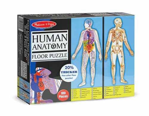 Anatomie humaine - Puzzle de sol