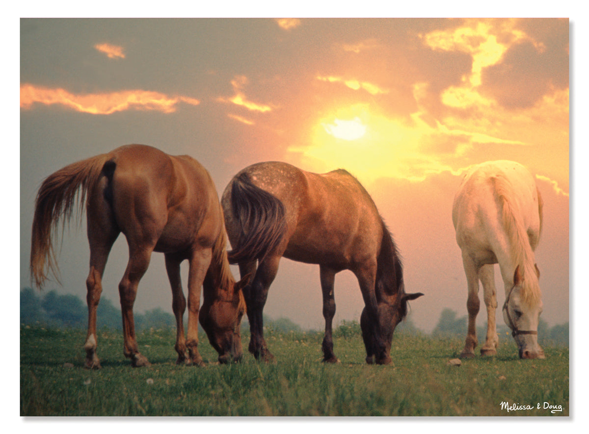 Chevaux au lever du soleil