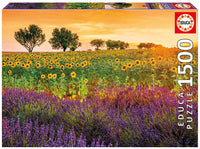 Champ de tournesols et lavendeurs, Susanne Kremer