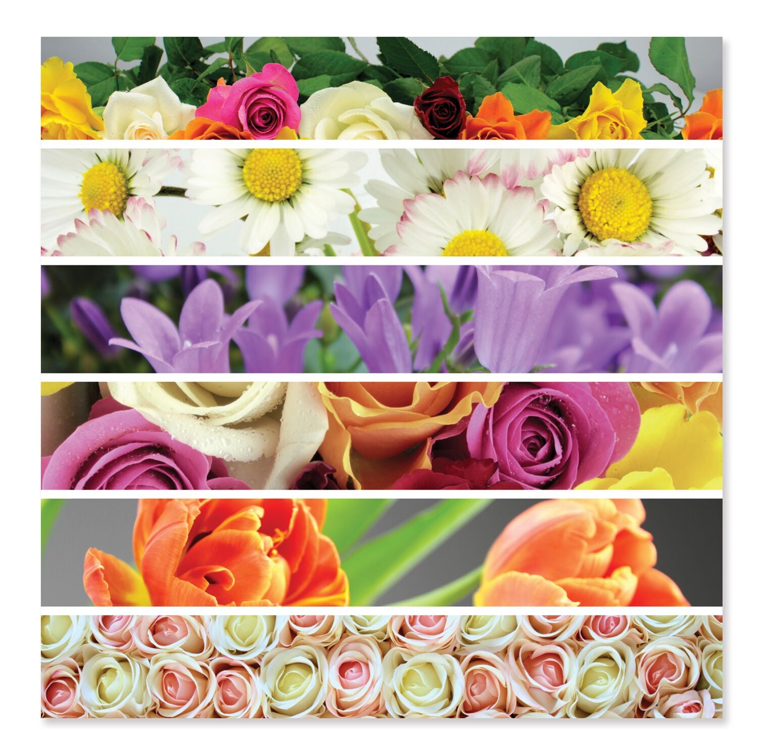 Flower Ribbons