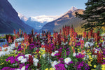 PFG Ravensburger Flowery Mountains (3000pcs) (Usage/Used - PUZZLES FOR GOOD)