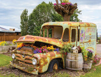 Camion de fleurs