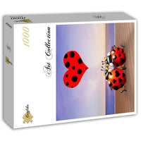 Love, Francois Ruyer (1000pcs)