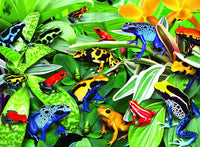 Grenouilles amicales de Ravensburger