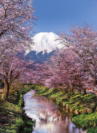 Fuji Mountain (Mont Fuji)