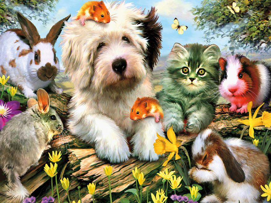 Furry Friends, Howard Robinson