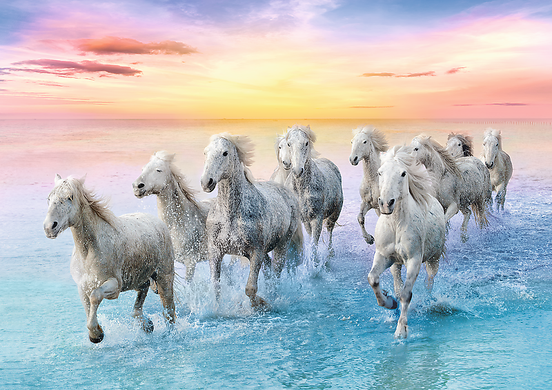 Chevaux blancs au galop