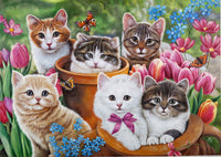 Garden chatons par Corinne Ferguson