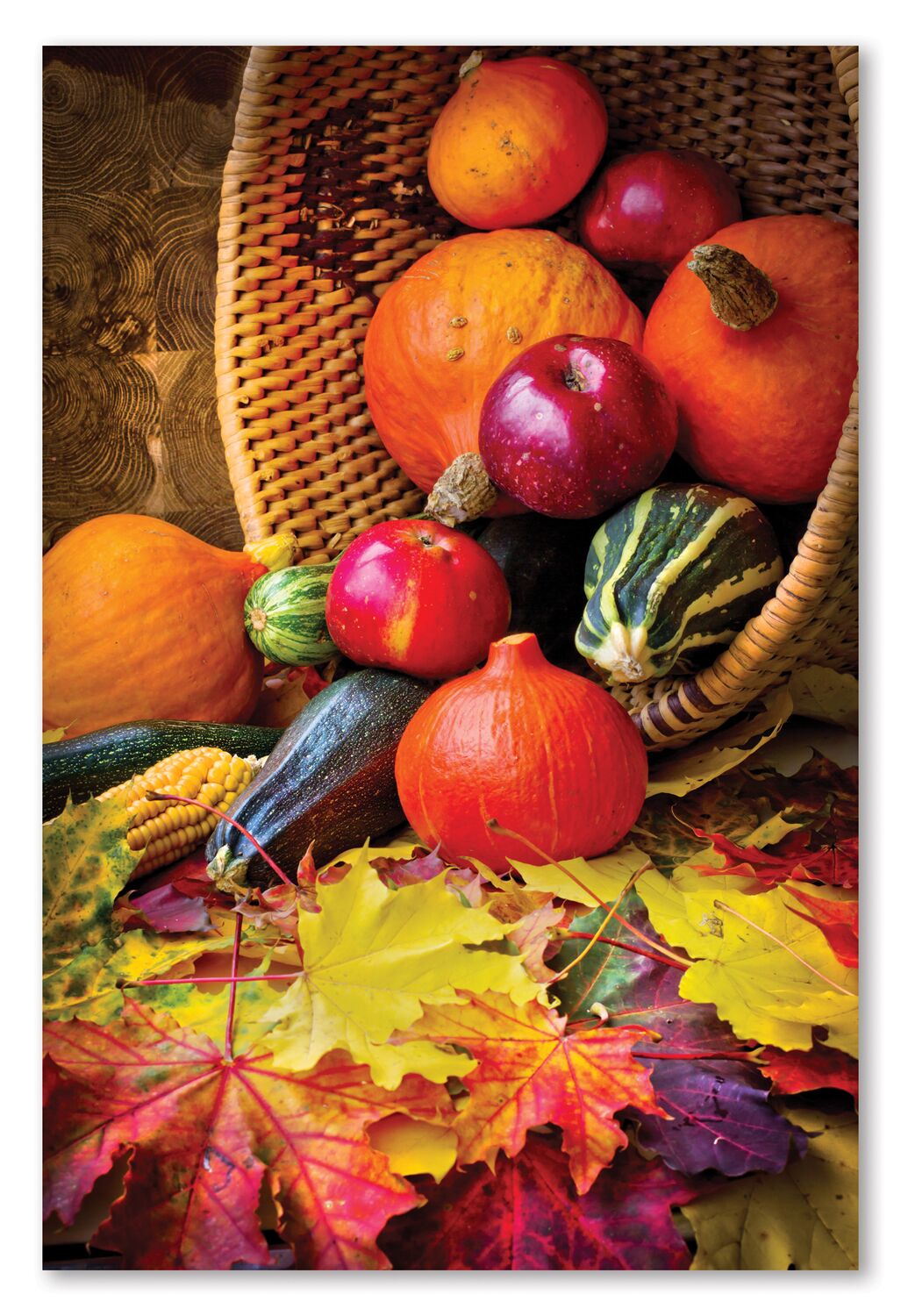 Harvest Bounty