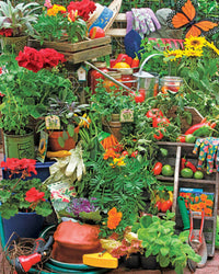 Garden Delights, Rachel Perry