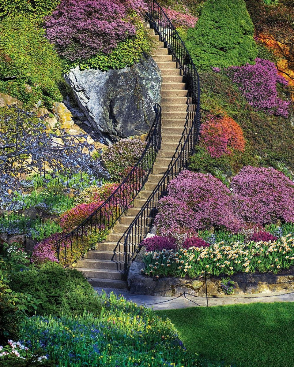 Garden Stairway (500pcs)