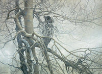 Fantôme du nord, Robert Bateman