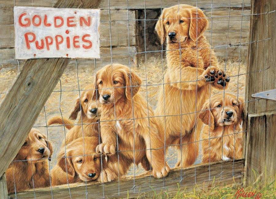 Golden Puppies, Jim Killen