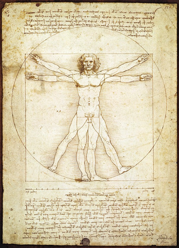 The Vitruvian Man, Leonardo da Vinci