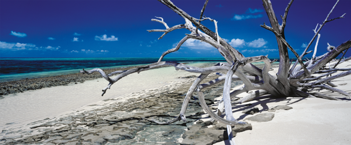 Green Island - Queensland, Australie (panoramique) 136 PCS