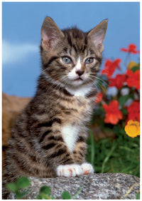 Mini puzzle des animaux (chat gris)