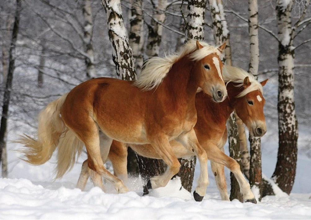 Haflinger Duo (Horse Shaped Pieces)