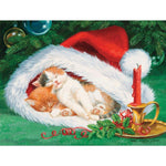 Hat sieste, persis Clayton Weirs