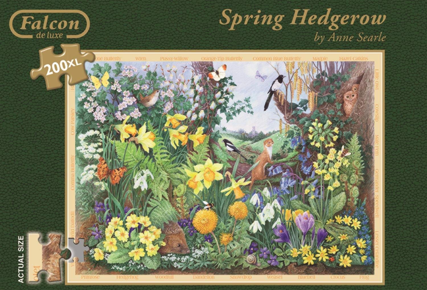 Spring Hedgerow, Anne Searle
