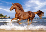 Cheval sur la plage