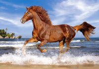 Cheval sur la plage