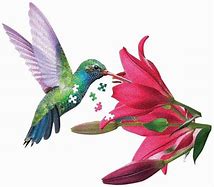 Je suis colibri (300pcs)