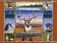 PFG The Northwoods (USAGÉ / USET - Puzzles pour de bon)