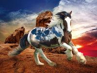 Au coucher du soleil