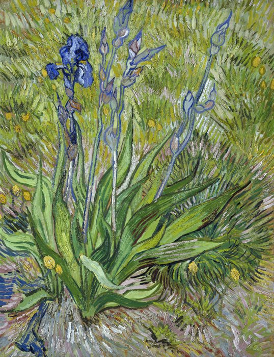 Iris, Vincent van Gogh