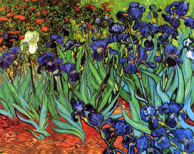 Irises, Vincent van Gogh