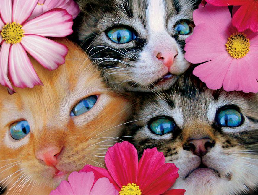 Kittens in Flowers