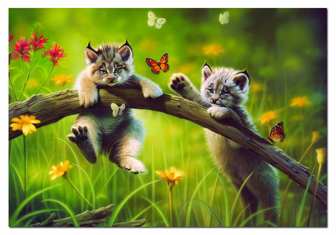 Kittyland, John N. Hansen