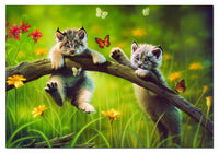 Kittyland, John N. Hansen