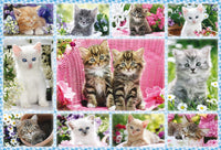 Chatons, 100 pc