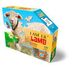I Am Lil' Lamb (100pcs)