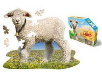 I Am Lil' Lamb (100pcs)