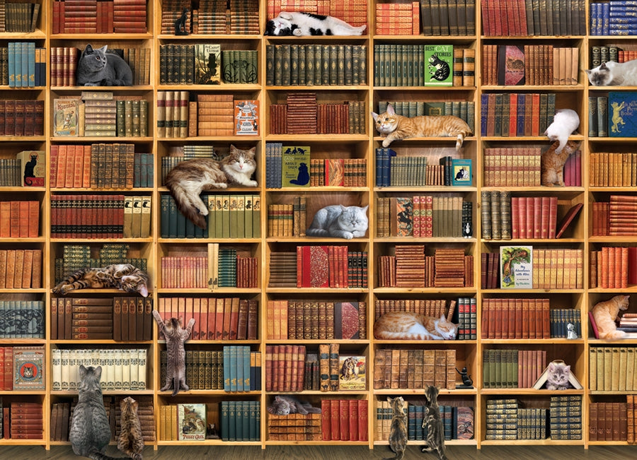 PFG La bibliothèque CAT (utilisation / utilisée - puzzles pour de bon)