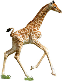 I Am Lil' Giraffe (Shaped Puzzle)