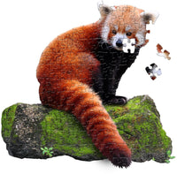 I Am Lil' Red Panda (100pcs)