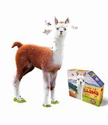 I Am Lil' Llama (100pcs)