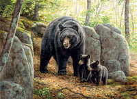 Mama Bear, Rosemary Millette