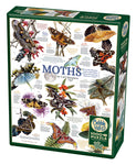 Moth Collection, Carl Brenders