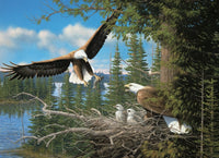 Nesting Eagles, Michael Sieve