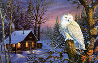 Montre de nuit, Terry Doughty